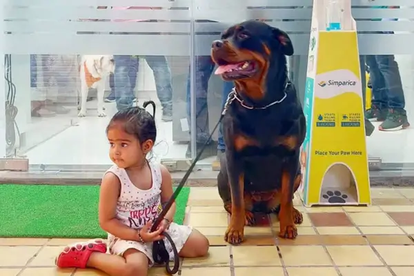 Pet boarding area